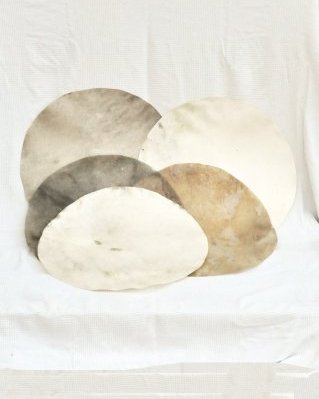 Paquete 5 pieles de cérvidos tambor yembé afeitadas degradadas M