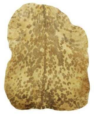 Piel de cabra yembé Sahel blanca manchada muy gruesa