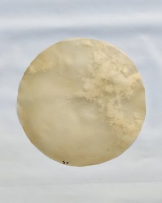 Piel de cabello yembé gruesa sin pelo M