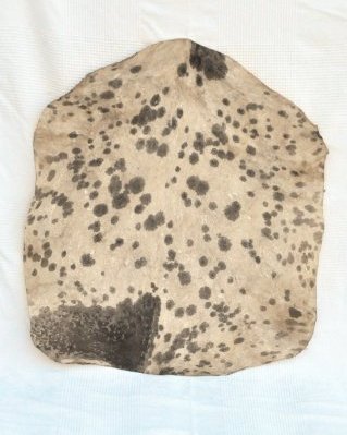Piel de cabra yembé Sahel blanca manchada semigruesa