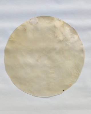 Piel de cabello yembé muy fina sin pelo L