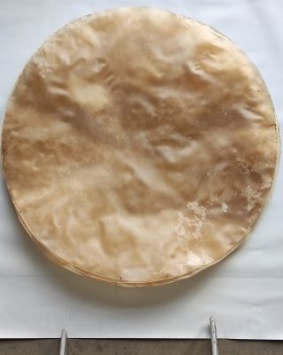 Piel de buey / vaca tambor semigruesa sin pelo XXL