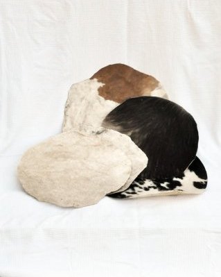 Paquete 5 pieles de bovinos tambor yembé con pelo degradadas S