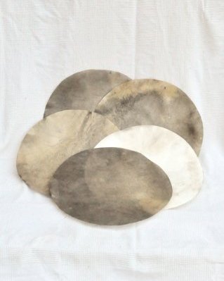 Paquete 5 pieles de cérvidos tambor yembé afeitadas degradadas S