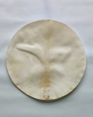 Piel de alce yembé muy gruesa afeitada M