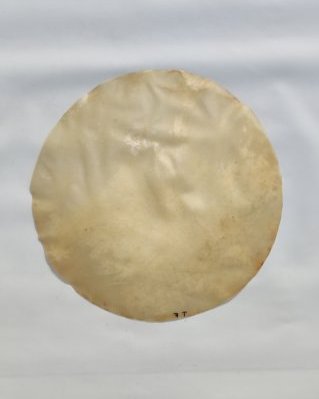 Piel de cabello yembé fina sin pelo M