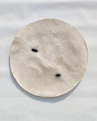 Piel de burro yembé fina con pelo M