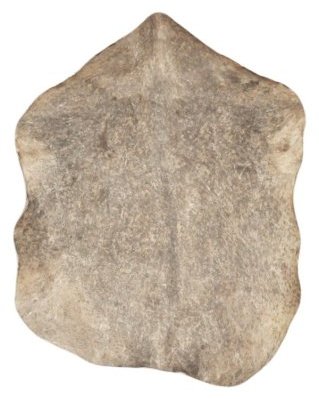 Piel de cabra yembé Sahel marrón moteada gruesa